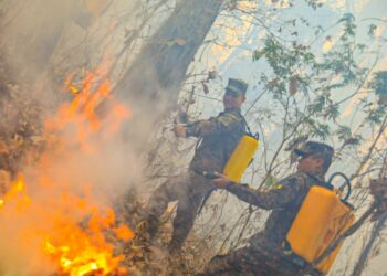 FOTOS | Autoridades trabajan para extinguir incendio en San Ingnacio, Chalatenango