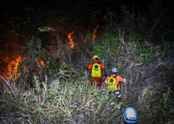 Sofocan incendio en el cerro San Jacinto