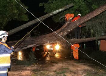 Gobierno atiende emergencias por lluvias y fuertes vientos