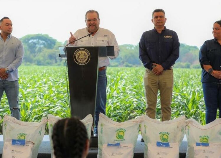 Gobierno entregará más de medio millón de paquetes agrícolas a pequeños productores de granos básicos