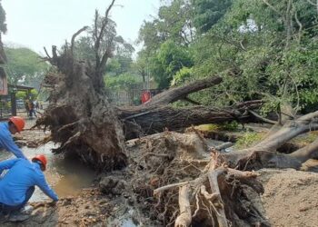 ANDA continúa recuperando sistemas del Gran San Salvador dañados por las tormentas de anoche