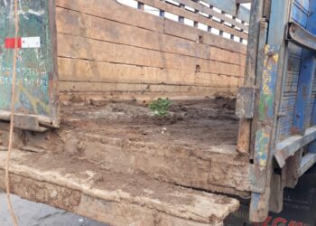 Capturan a un hombre que llevaba escondidos $14,000 en un camión que transportaba tierra