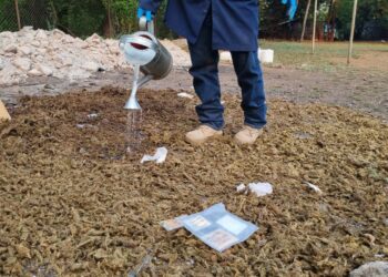 Autoridades destruyen droga incautada en el oriente del país entre 2014 y 2022