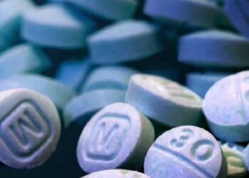 Autoridades de Estados Unidos encuentran 3.5 millones de pastillas de fentanilo en cargamento con ejotes