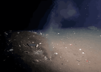 Detectan extraña fuga en el fondo del Océano Pacífico que podría provocar un gran terremoto