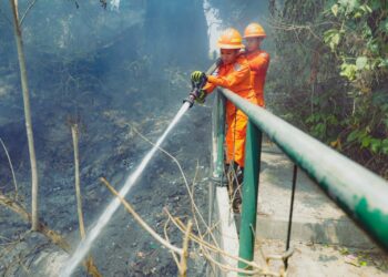 Reportan incendio en un predio de Ilopango