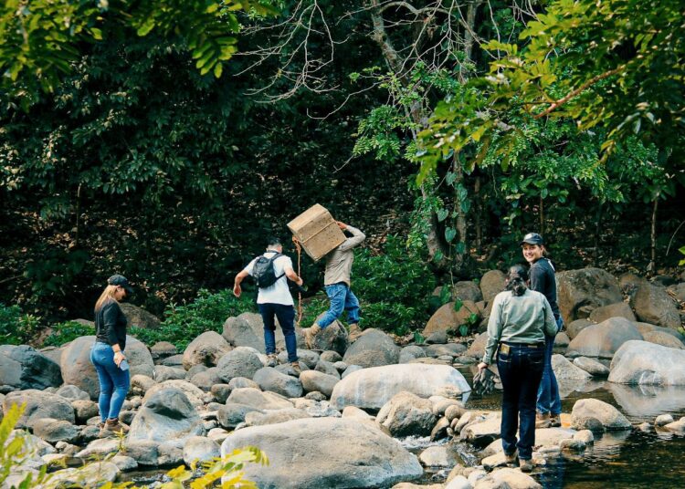 Liberan animales que cumplieron periodo de rehabilitación a sus ecosistemas