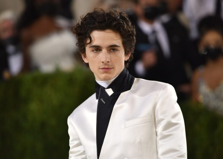 Timothée Chalamet interpretará a Bob Dylan en su película biográfica