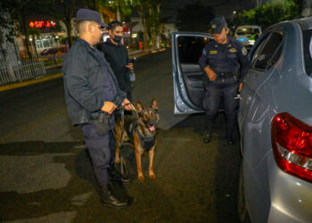 Despliegan unidad Canina en controles vehiculares