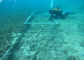 Encuentran una calzada de piedra de hace 7.000 años oculta bajo el mar