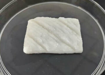 Científicos chinos cultivan los primeros filetes de pescado impresos en 3D