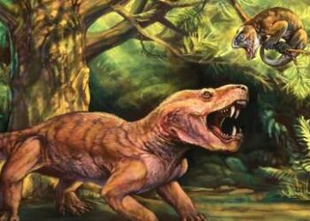 El primer depredador con dientes de sable se trasladó de Rusia a Sudáfrica hace 252 millones de años