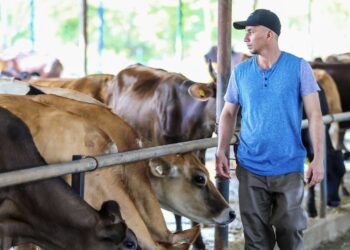 MAG continúa jornada de transferencia de embriones en bovinos