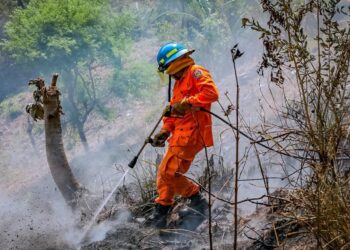 Bomberos se mantienen alerta ante constantes reportes de incendios en maleza seca