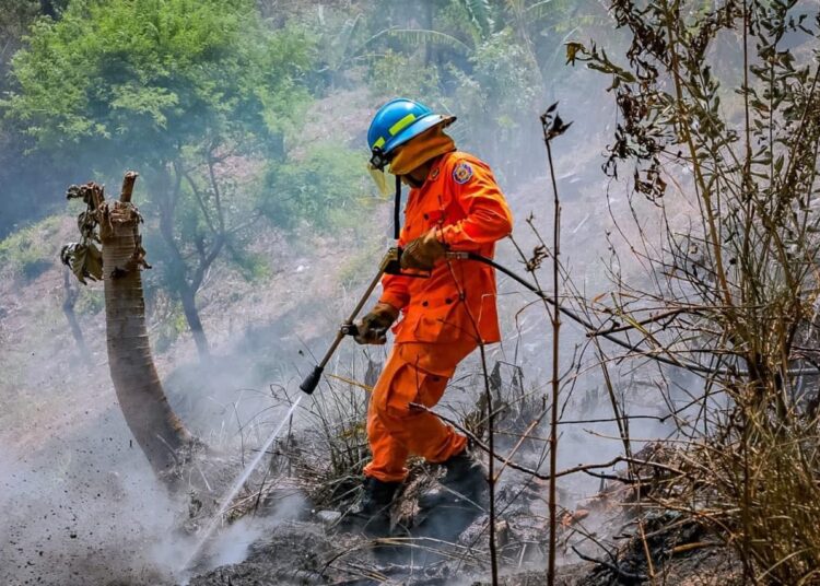 Bomberos se mantienen alerta ante constantes reportes de incendios en maleza seca