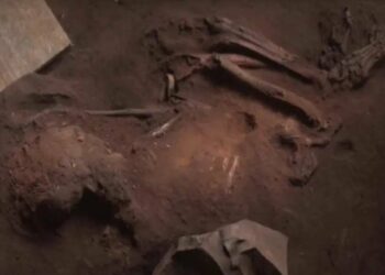 Encontraron un fósil humano en Brasil que puede tener 12 mil años