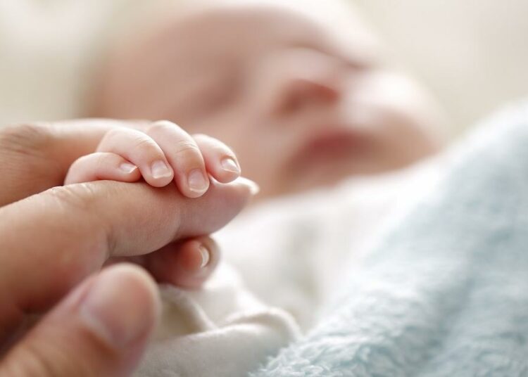 Más de 69,000 bebés han nacido bajo la Ley Nacer con Cariño