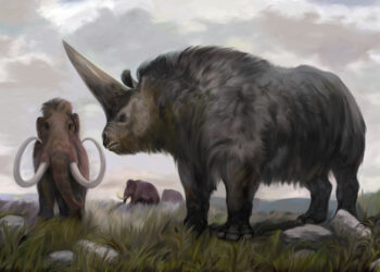 Revelan por qué algunos animales se convirtieron en gigantes tras la extinción de los dinosaurios