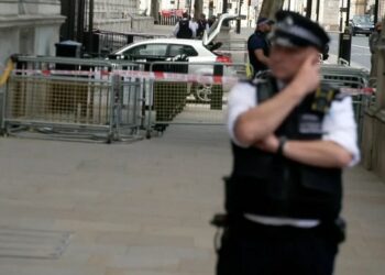 Un auto chocó contra la sede del gobierno británico en Downing Street