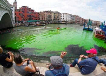 El agua del Gran Canal de Venecia apareció teñida de un misterioso verde fluorescente