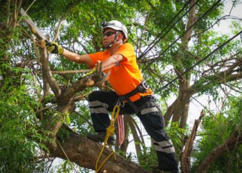 Equipos institucionales efectúan labores preventivas ante las lluvias