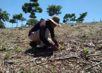 Ministerio de Agricultura y Ganadería apuesta por las Buenas Prácticas Agrícolas
