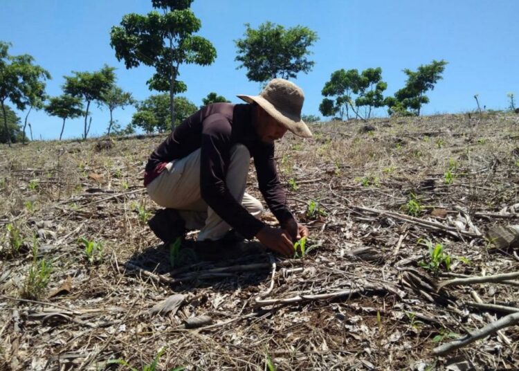 Ministerio de Agricultura y Ganadería apuesta por las Buenas Prácticas Agrícolas