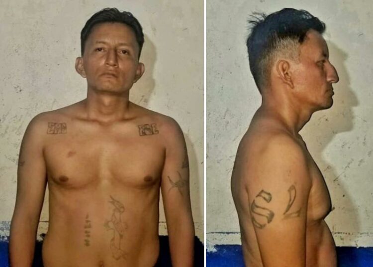 Capturan a peligroso pandillero de la MS-13 en Santa Ana