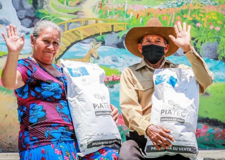 Gobierno entrega insumos de siembra a productores agrícolas del occidente
