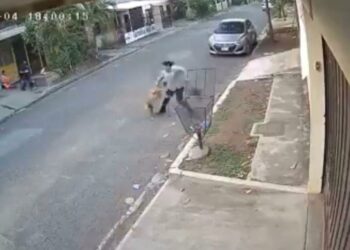 VIDEO | Perro agresivo se escapa de los dueños y ataca a una mujer en San Miguel
