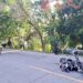 Motociclista muere en accidente de tránsito en Santa Ana
