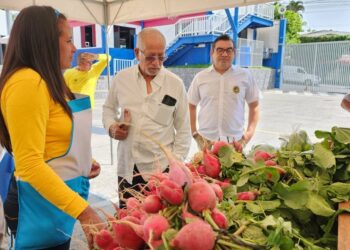 Instalan agromercado las mujeres en fase de confianza