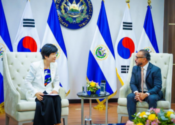Ernesto Castro sostiene reunión con importantes legisladores de la Asamblea Nacional de Corea del Sur