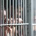 Fiscalía logra que condenen a 142 años de prisión a homicidas en Cojutepeque