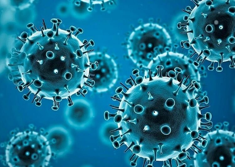 El coronavirus le costó 337 millones de años de vida a la humanidad: OMS
