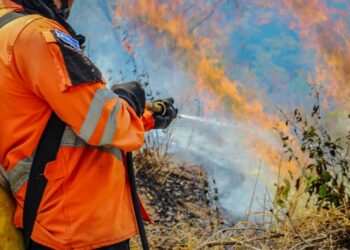 Bomberos atienden incendio en Cerro las Piletas de San Miguel