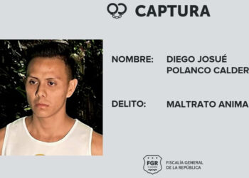 Fiscalía remite al tribunal correspondiente al hombre que maltrató a un perro