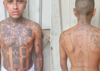 Pandillero creyó que quedaría en libertad pero fue recapturado por asociaciones ilícitas