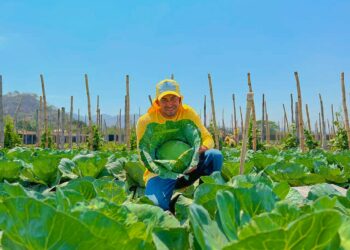 Reos que no son pandilleros aprenden a cultivar alimentos como parte del proceso de rehabilitación