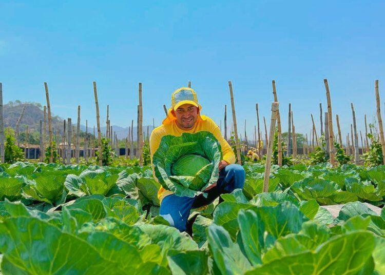 Reos que no son pandilleros aprenden a cultivar alimentos como parte del proceso de rehabilitación