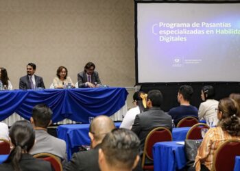 Secretaria de Innovación lanza programa de pasantías especializadas en habilidades digitales