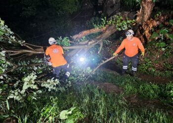 Autoridades de rescate brindaron atención a emergencias provocadas por las lluvias de anoche