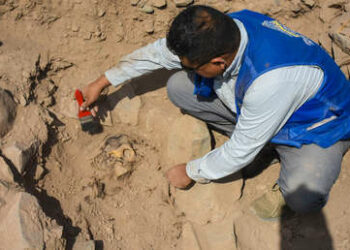 Encuentran momia de más de 3.000 años de antigüedad en un sitio arqueológico de Perú