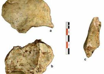 Descubren que los humanos llegaron al sudeste asiático decenas de miles de años antes de lo que se creía