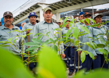 Alcaldía de San Salvador plantará 30 mil árboles