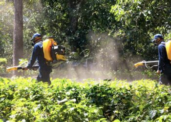 MAG mantiene prevención de plagas y enfermedades