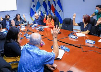 Diputados avalan ley para garantizar estabilidad en el precio del cilindro de gas