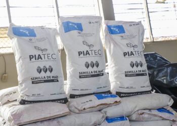 MAG entrega paquetes agrícolas a más de 100,000 productores