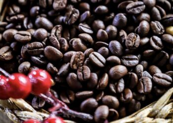 Productores de café reciben apoyo y fondos para invertir en sus cosechas