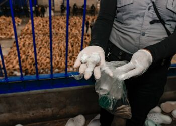 Policía ejecutó requisa en penal de Mariona y clausuró las ventanas, mientras reos responsables de wilas fueron aislados